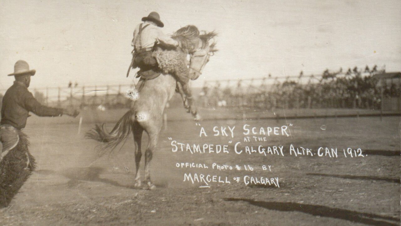 A bucking horse and rider at the first Calgary Stampede in 1912, official photo by Marcell of Calgary.