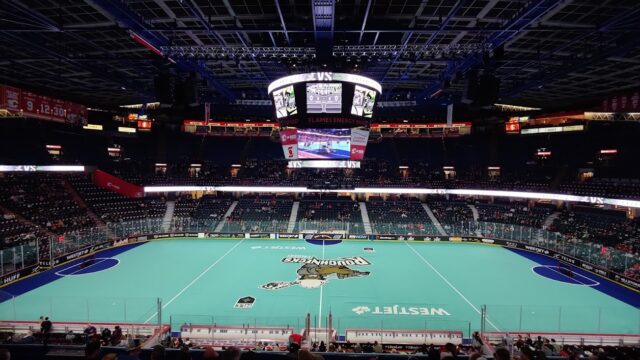 The Saddledome arena floor set up with green turf for a Calgary Roughnecks box lacrosse preseason game in November 2022, with fans in the stands.
